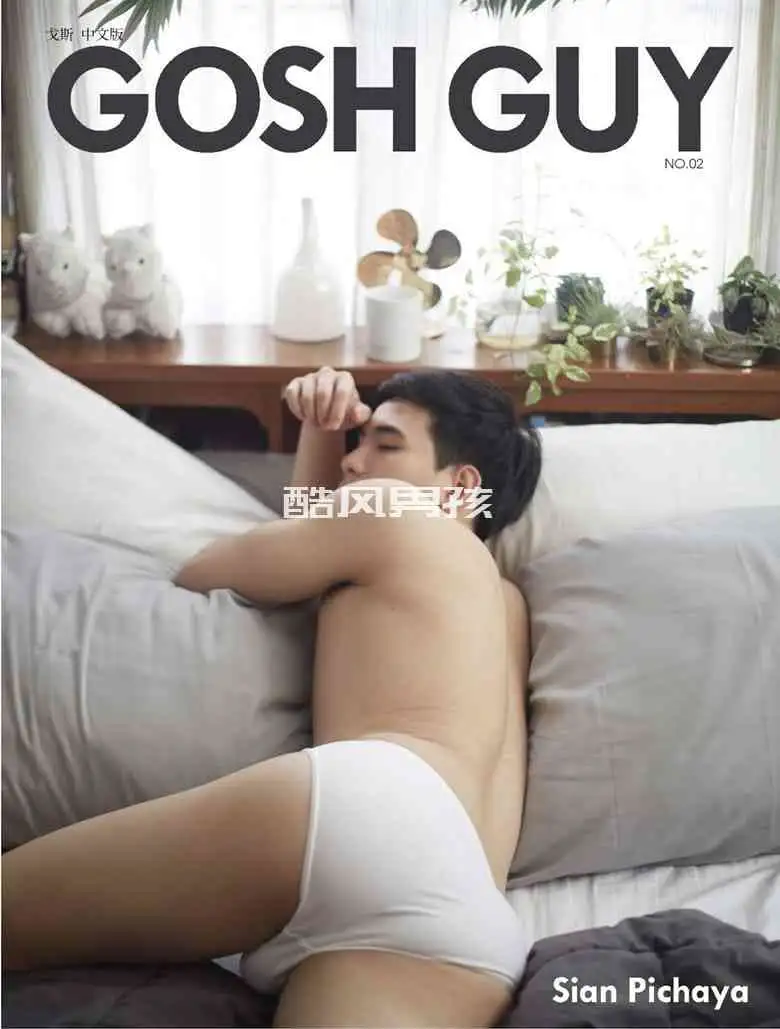 GOSH GUY NO.02午后阳光下的狗狗时光